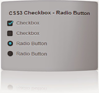 Cambiar estilos de Checkbox y Radio Button con CSS3 ...