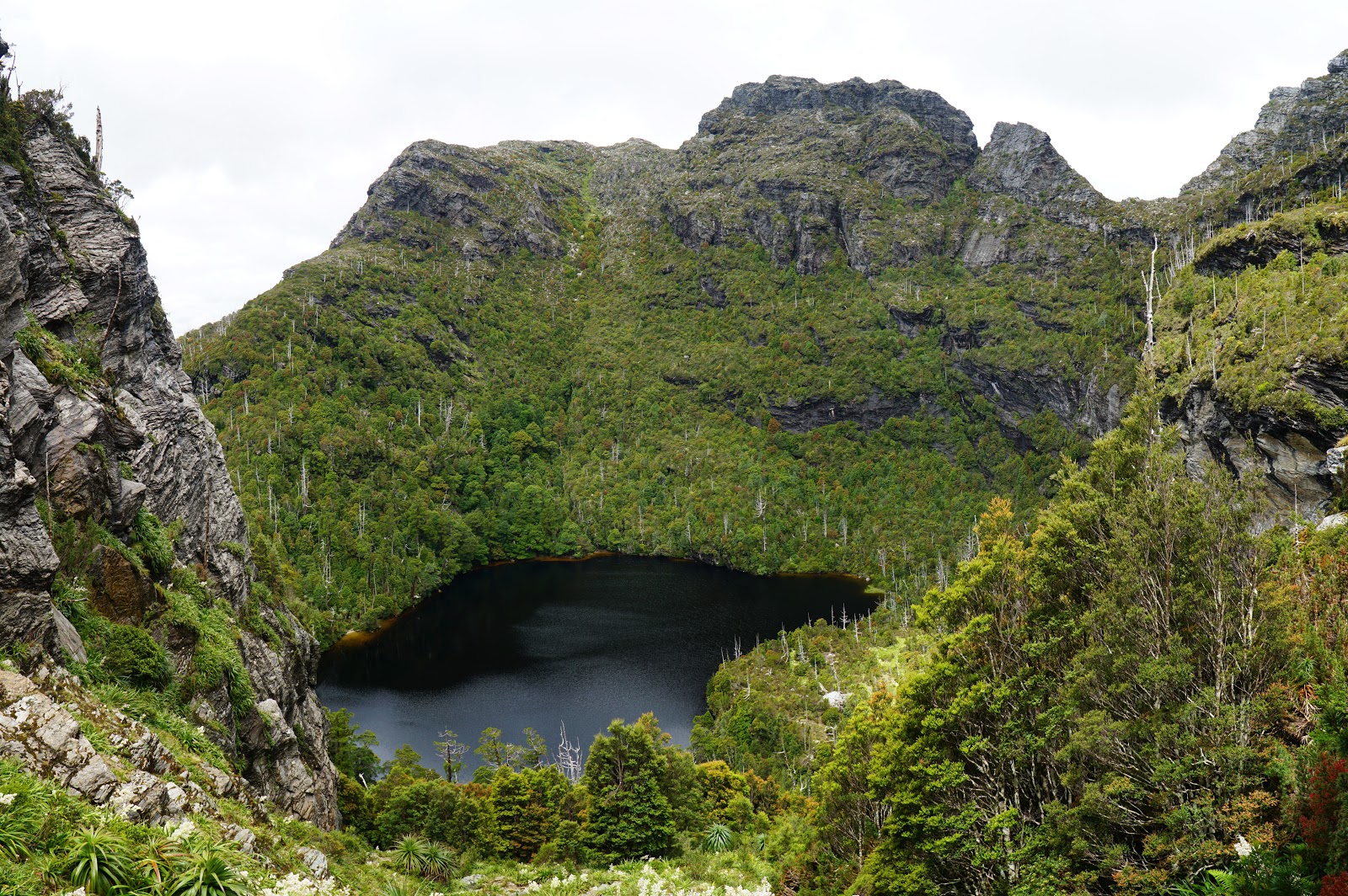 Frenchmans Cap (TAS) - Frenchmans Cap Summit ~ The Long Way's Better