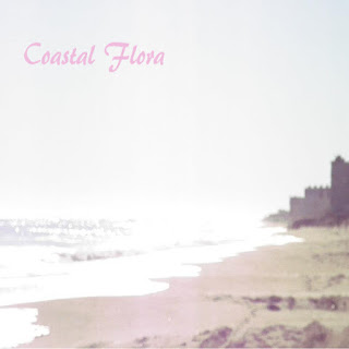 Coastal Flora - I Fell Into The Water (Lyrics)