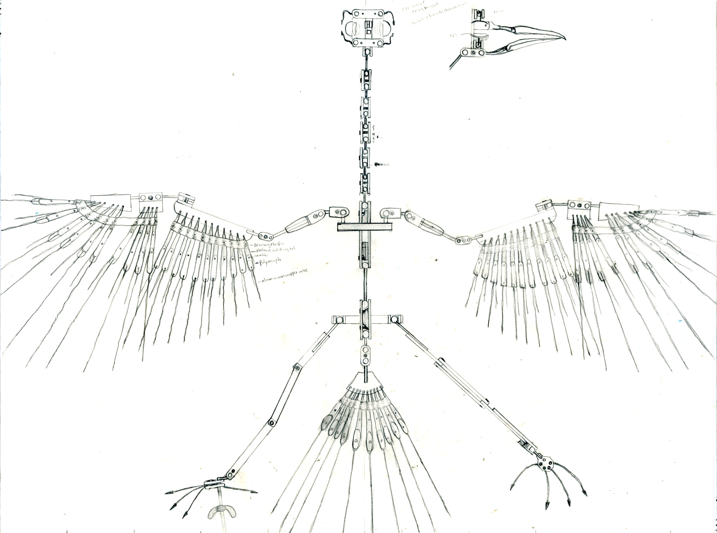 making a bird armature