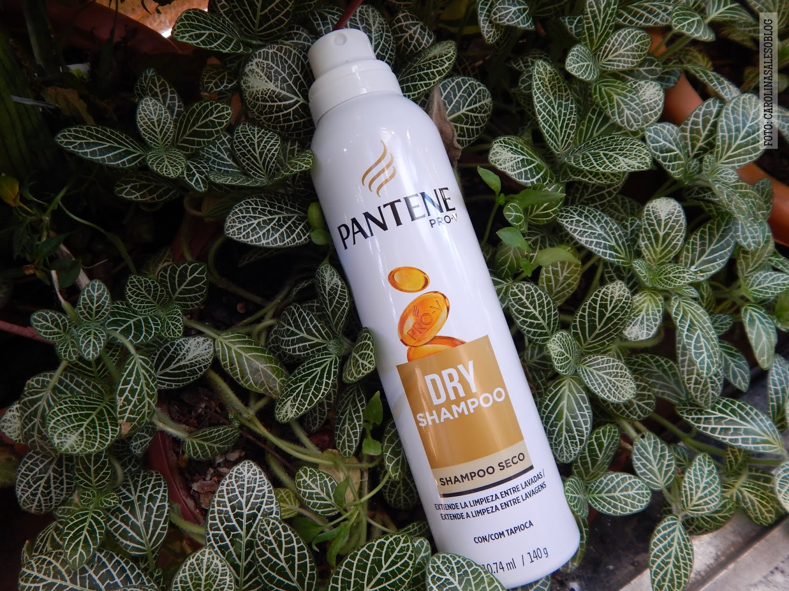 RESENHA: DRY Shampoo da Pantene | Shampoo seco | - Carolina Sales