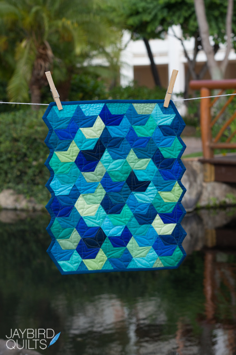Mini Splash Jaybird Quilts