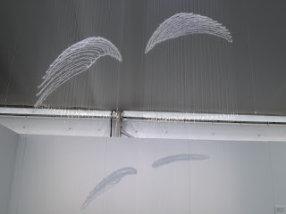 'wings' and their shadow