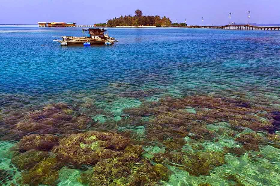 Taman Nasional Kepulauan Seribu ~ Rosemild