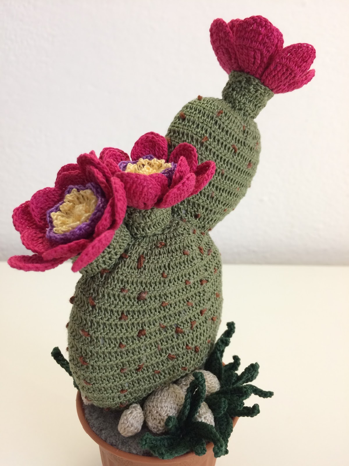 Il Blog Di Sam How To Crochet A Opuntia