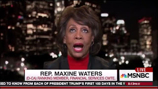 Maxine-Waters-MSNBC-Hayes.jpg?width=300