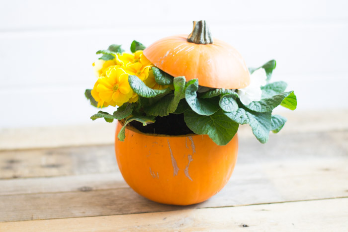 Colección Sittning Ikea