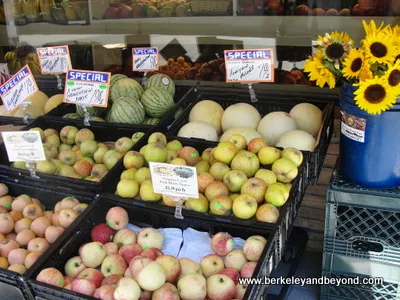 produce at Mill Valley Market in Mill Valley, California