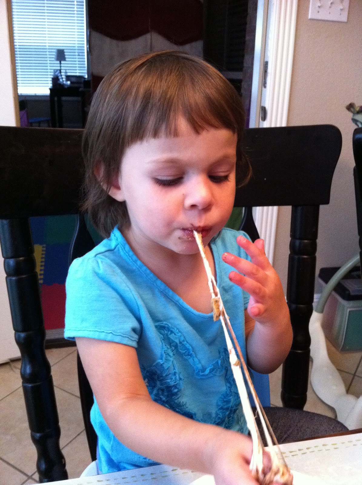 Hives in the Kitchen Allergy Free S'mores