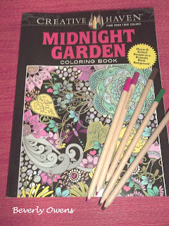 midnight garden coloring book