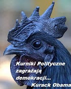 Kurniki Polityczne zagrażają demokracji...