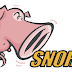 Intrusion Detection Systems with Snort Tool