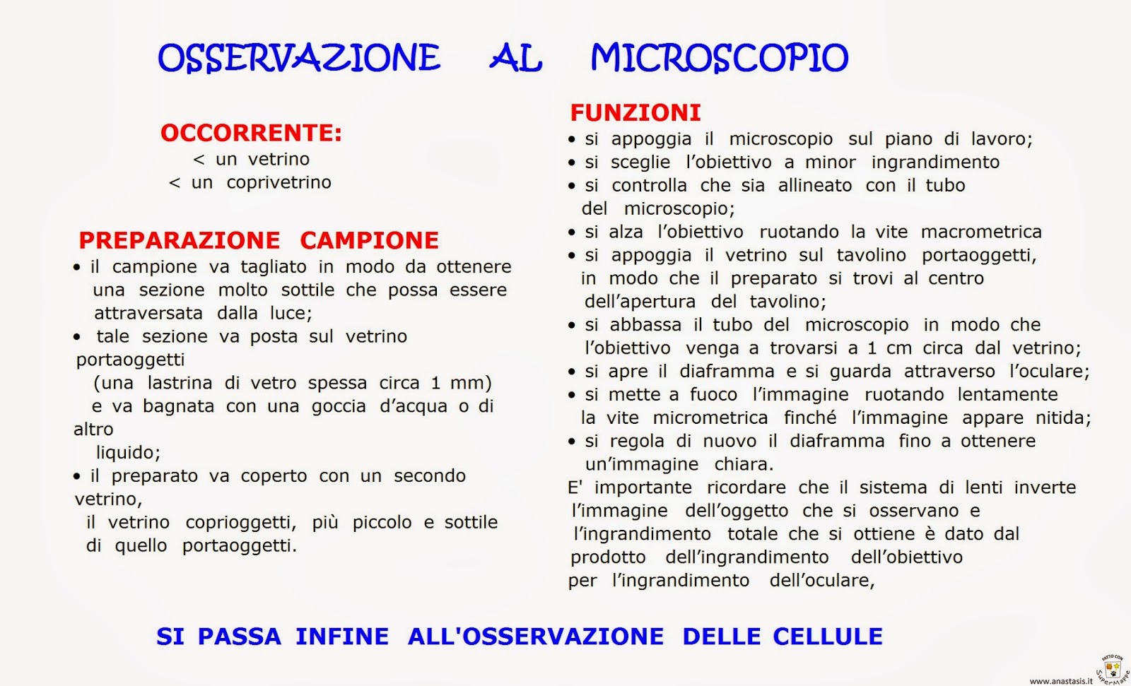 Relazione Di Laboratorio Osservazione Al Microscopio Paradiso delle mappe: Osservazione al microscopio