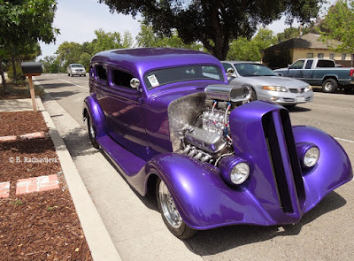 Purple Car Parked in Paso Robles in May, © B. Radisavljevic