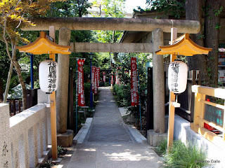 UENO PARK. TOKIO, JAPÓN.