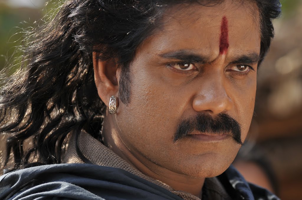 Rajanna Movie Latest Huge Gallery | women cumming