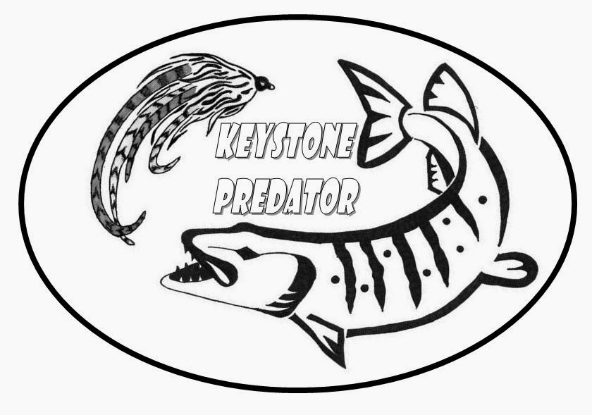 Keystone Predator Fly Fishing Dying Materials