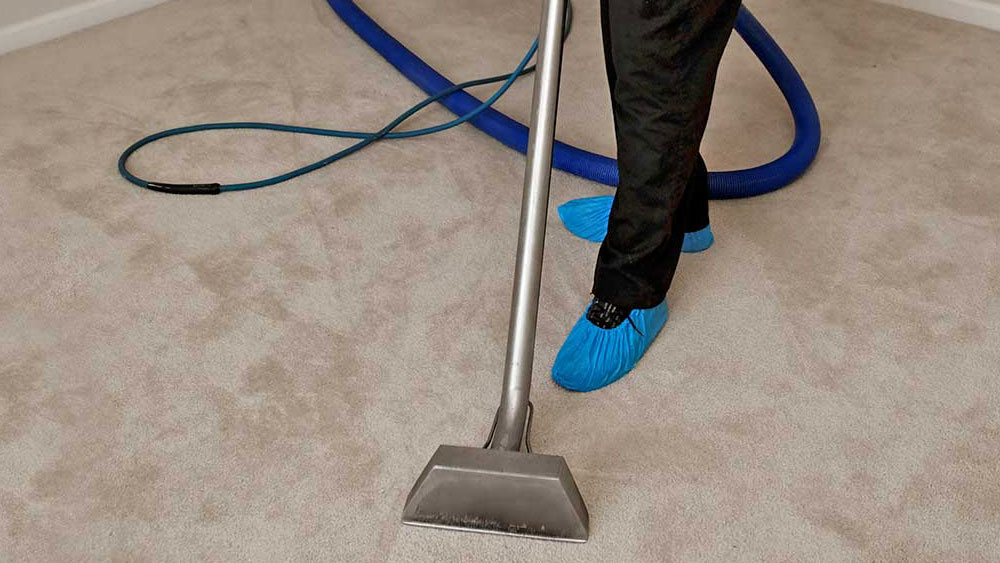 How to arrange an expert carpeting cleaning service in Cheshire