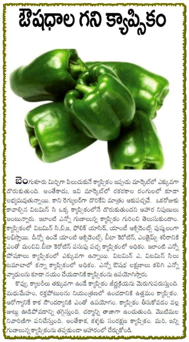 TELUGU WEB WORLD KNOW ABOUT CAPSICUM WHAT ARE THE VITAMINS AND