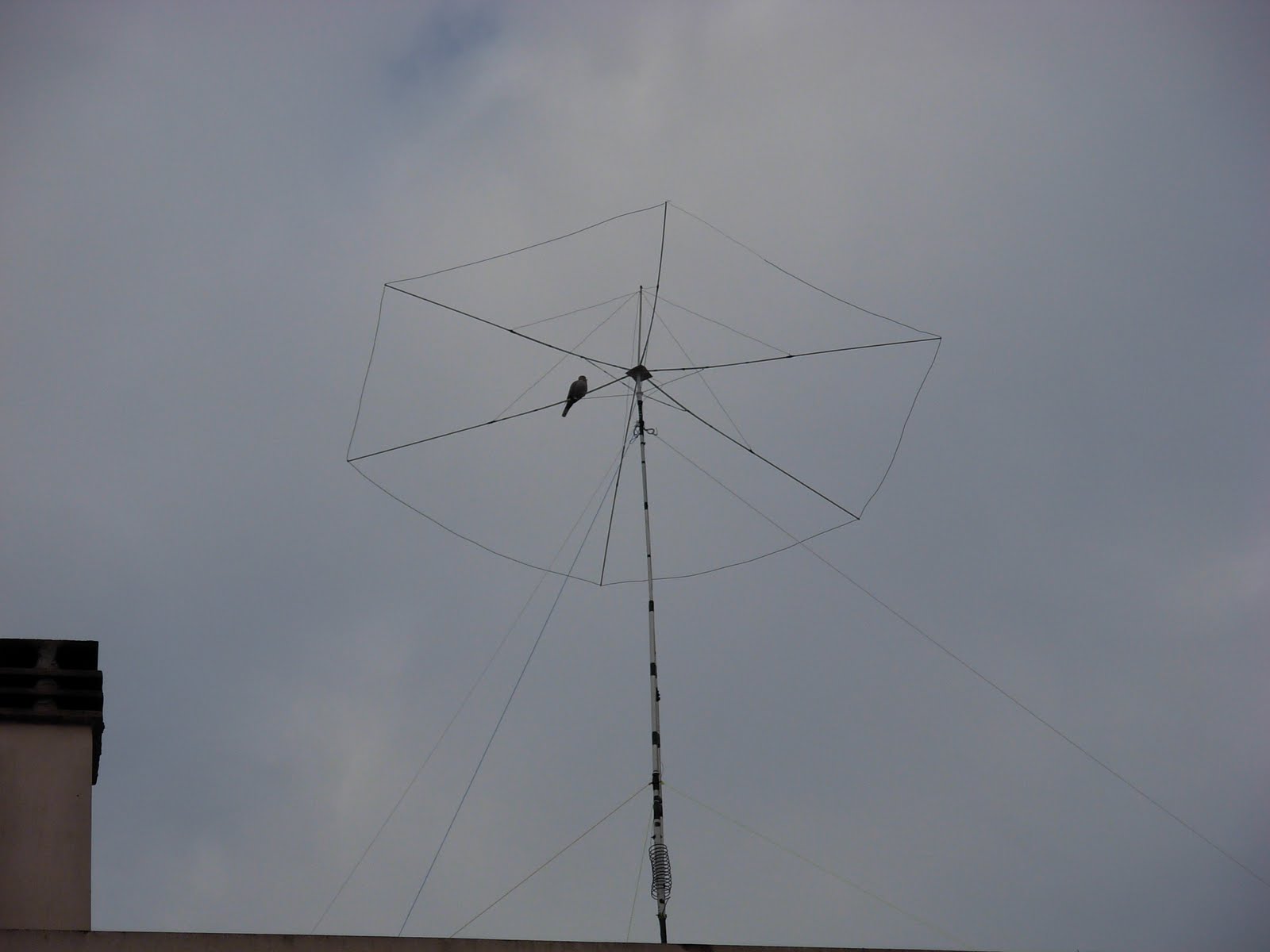 Studio421 AM TOP HAT antenna 200500 khz, Στάθης Πρέβεζα