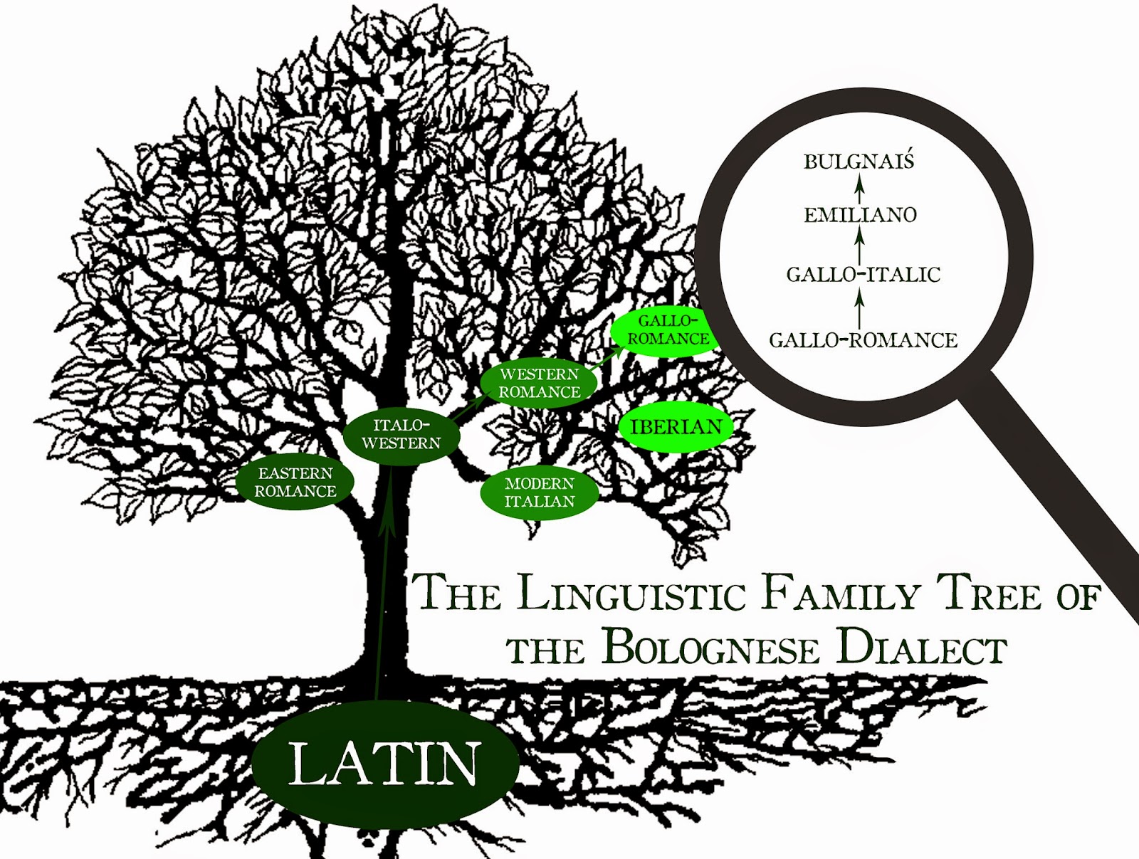 Linguistic Family Tree. Language Tree. Arabic Tree. Arabic Tree Design. Руби дерево по себе