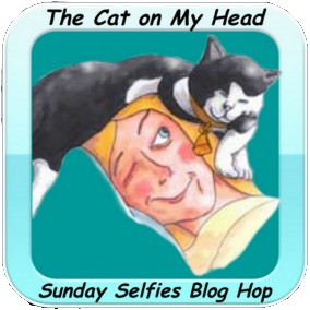 http://thecatonmyhead.com/lisbeths-wrapped-love-selfie/