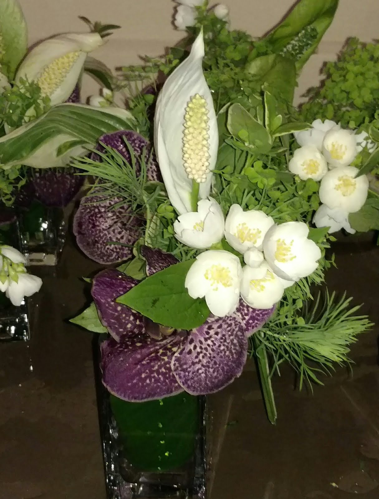 All Purpose Flowers 2017