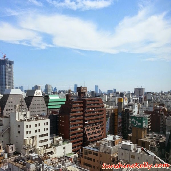 Tokyo, Japan, sky view, happening, japanese 