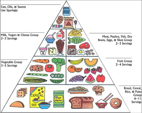 Food and Health: The Food Pyramid and Kids Food Pyramid