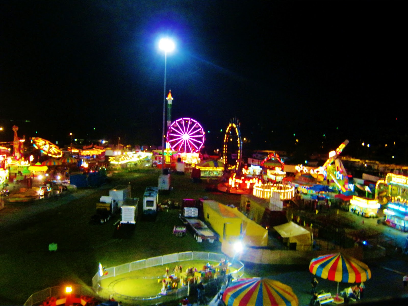 Dixie Classic Fair
