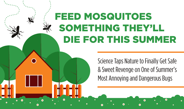 Feed Mosquitoes Something They’ll Die For This Summer
