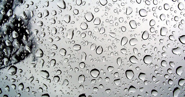 Segurança do Trabalho & Meio Ambiente: Risco Fisico: Umidade