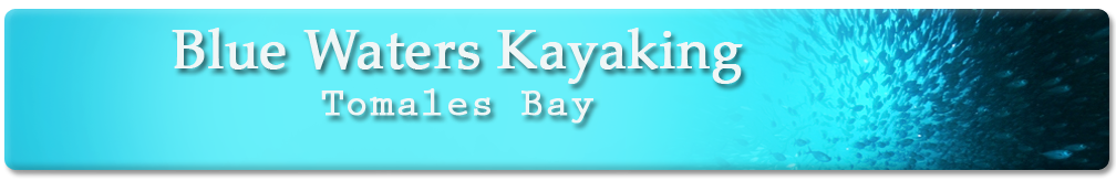Blue Waters Kayaking - Tomales Bay