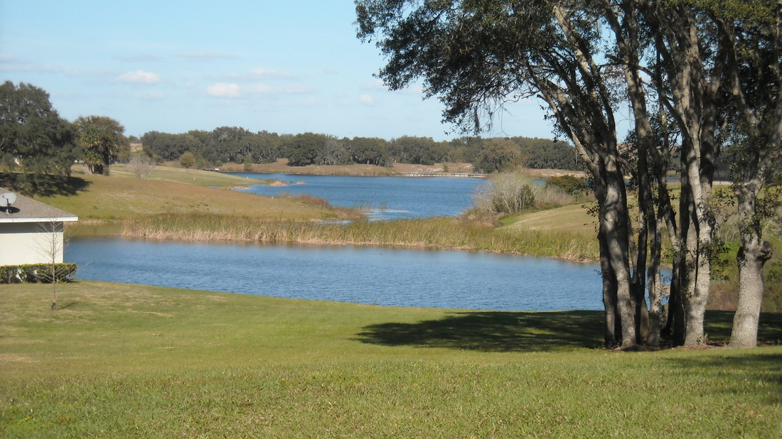 Mount Dora Real Estate for Sale Black Bear Reserve in Central Florida