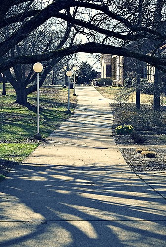 washingtongeneralsfan.blogspot.com