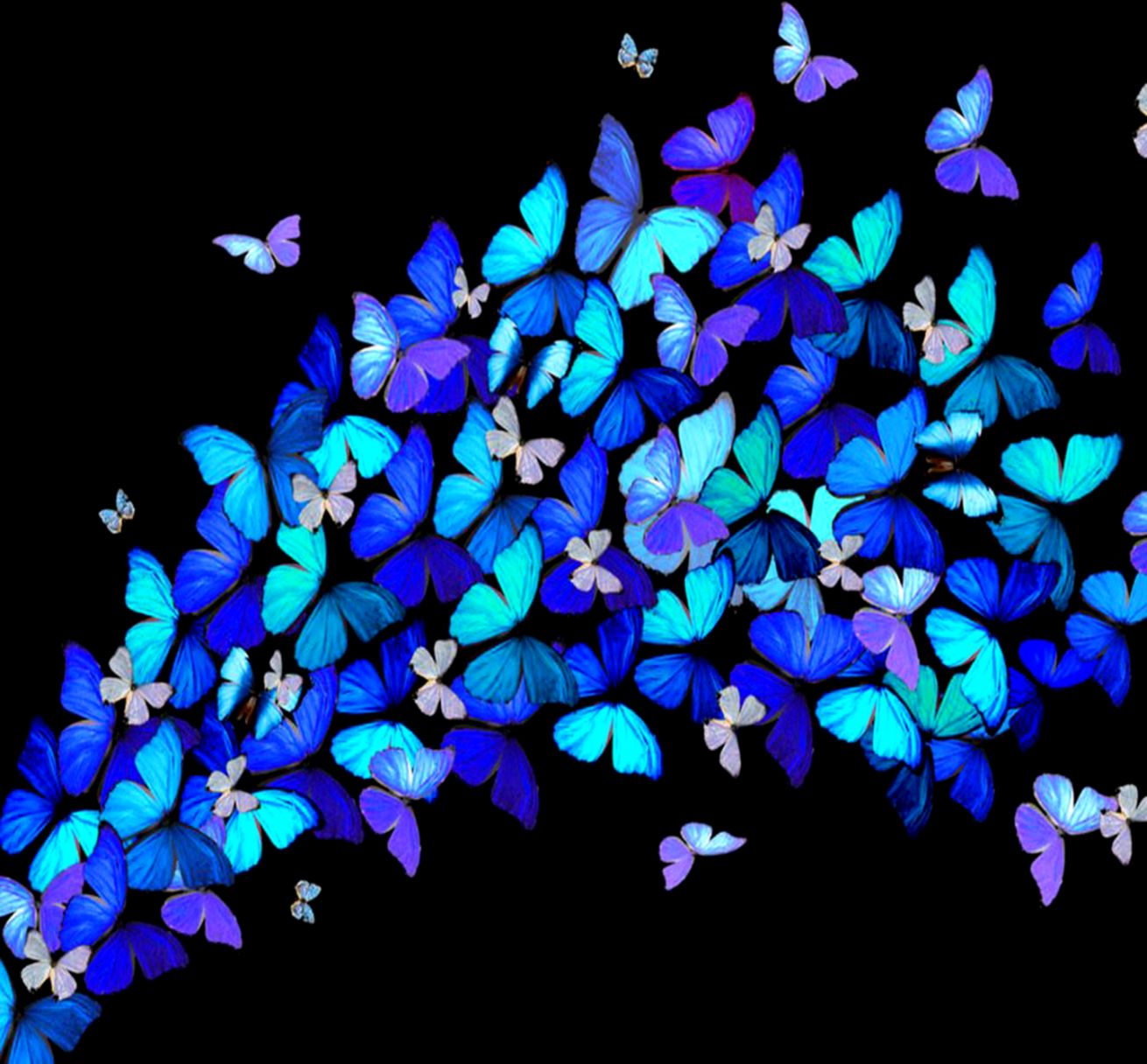 Free Cell Phone Wallpapers AFF   Wallpaper Goo