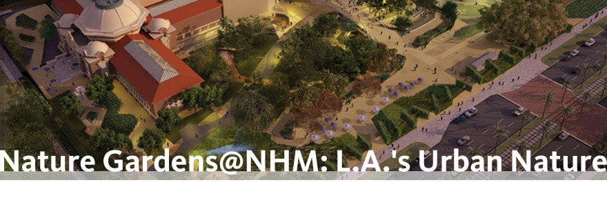 Nature Gardens @ NHM: L.A.'s Urban Nature