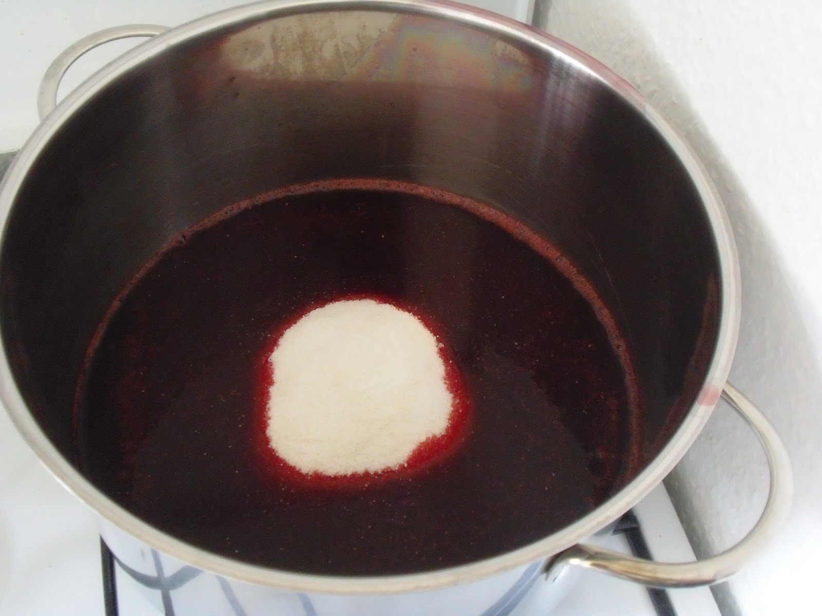 Dies und Das selbst gemacht: Holunder-Gelee