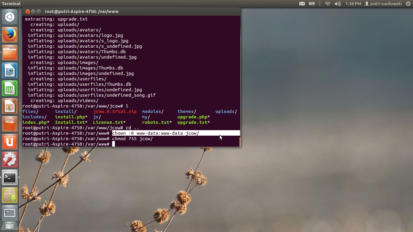 Chmod 755. Chmod 777. Chmod 755. Chmod таблица значений. Chmod 755 linux.