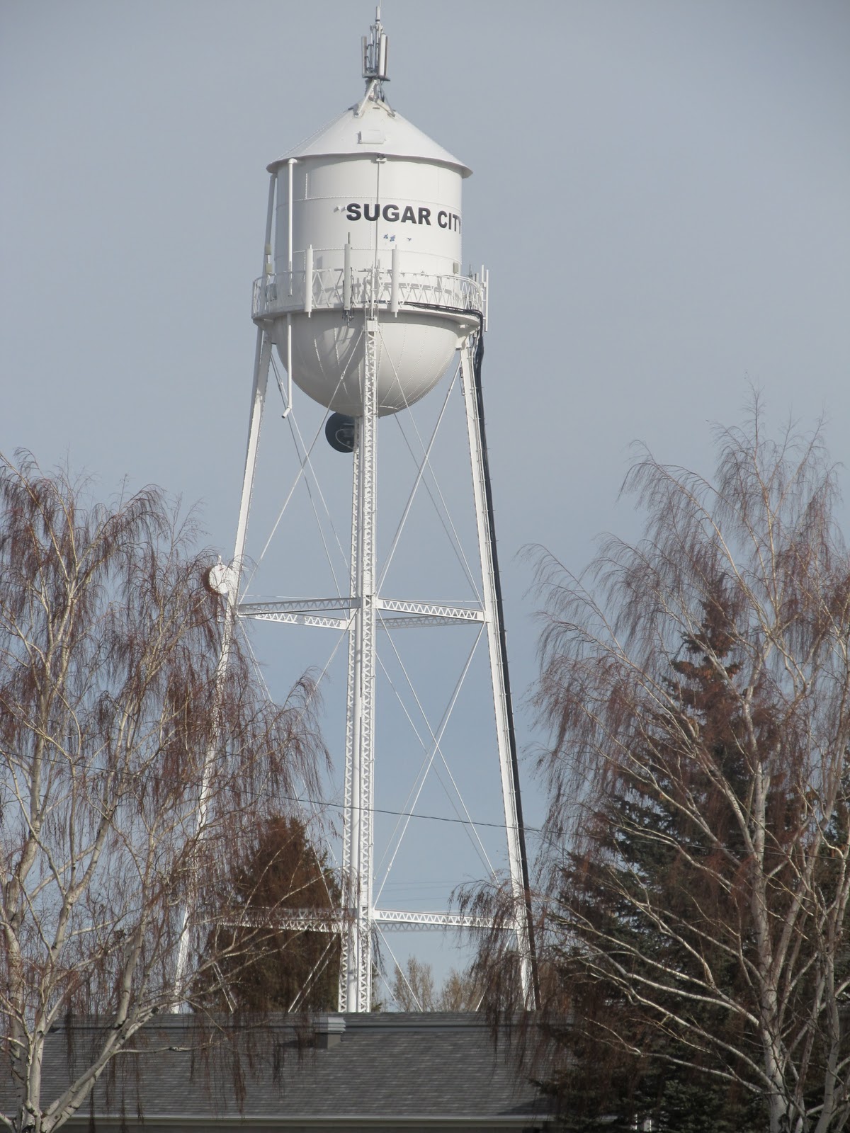 Top O' the Mountain Sugar CityWhere Sweet Things Grow!