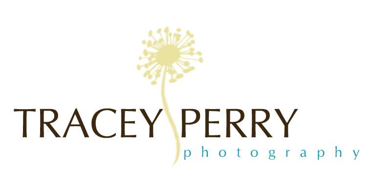tracey perry photography
