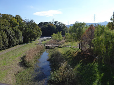 【大阪府枚方市】山田池公園・秋の紅葉ウォーキング