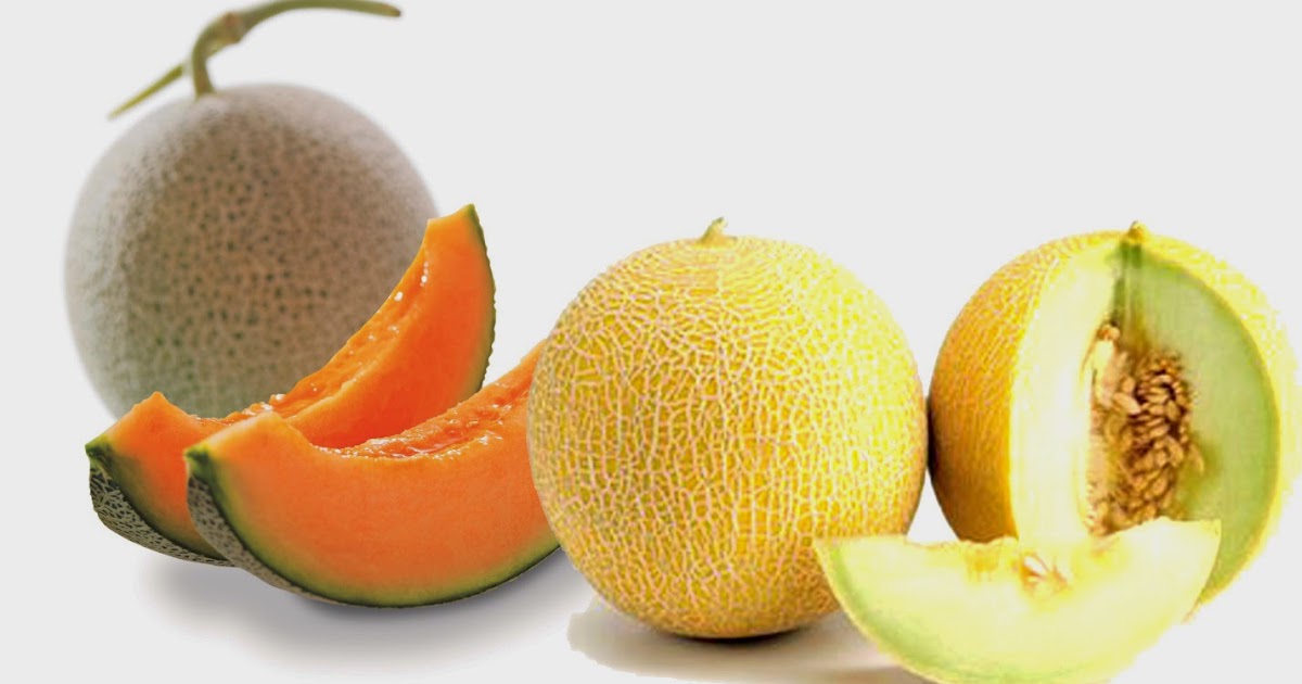 Gambar Buah Melon - Gambar Buah