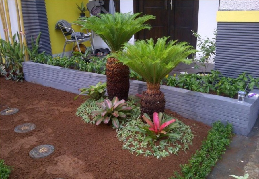 Tukang Taman Jasa Tukang taman murah: Contoh Taman | Tukang Taman Murah