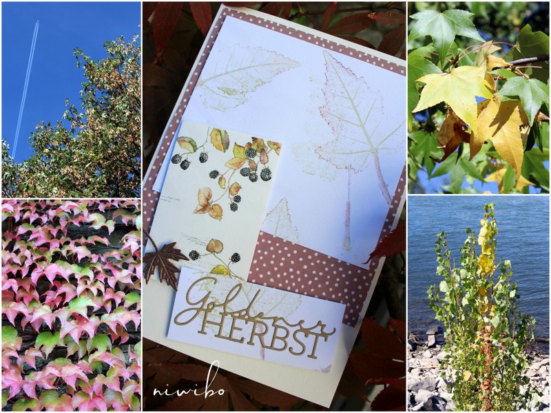 Niwibo Life Is So Beautiful Willkommen Im Oktober Und Niwibo