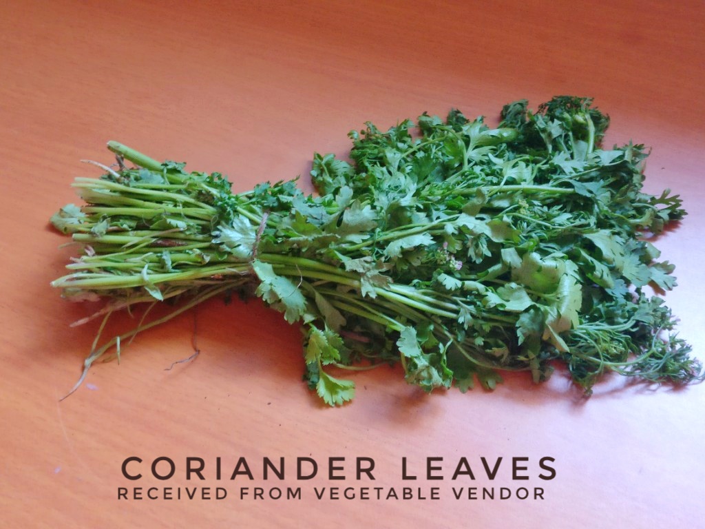 Veg Indian Cooking How to keep coriander leaves fresh in the