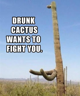 giant saguaro cactus funny pugilist position