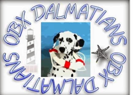 OBX Dalmatians Web Site