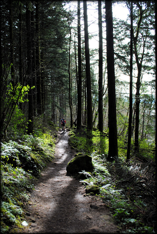Black Watch Sasquatch: Angel's Rest - Columbia River Gorge