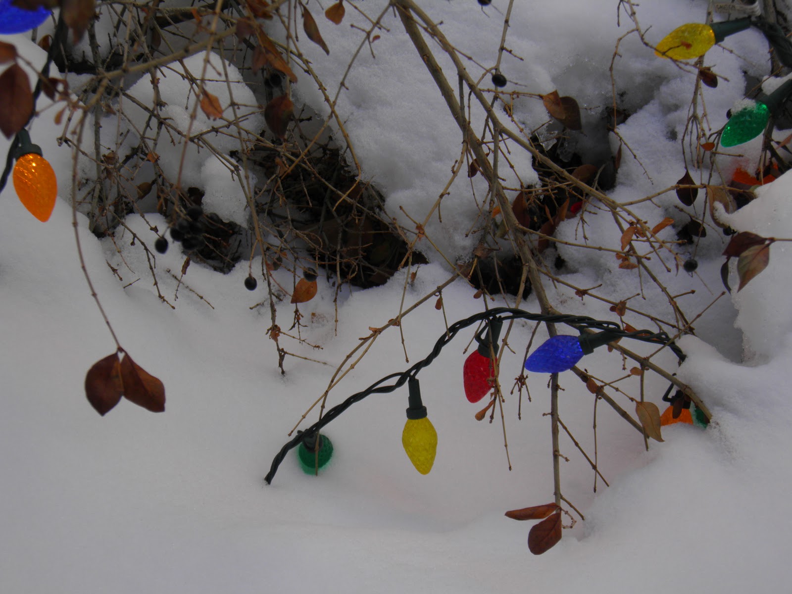 walking flagstaff flagstaff after christmas views